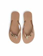 Slipper UQ