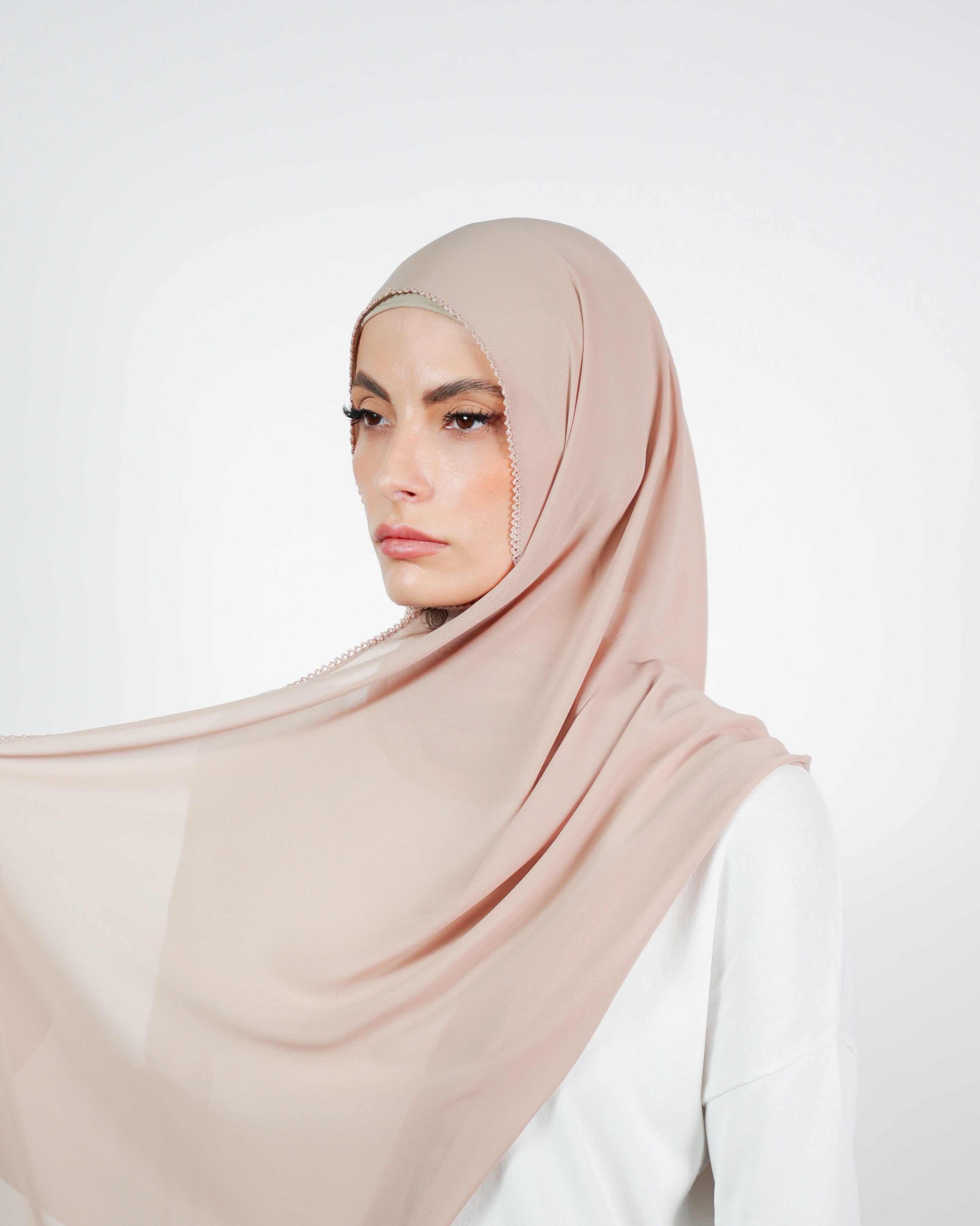 Basic Plain Chiffon Embroidery  Voile