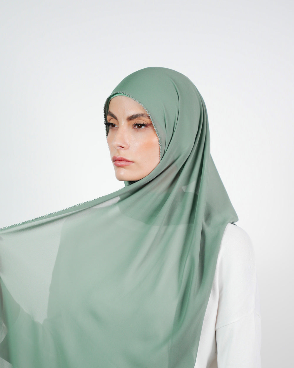 Basic Plain Chiffon Embroidery  Voile