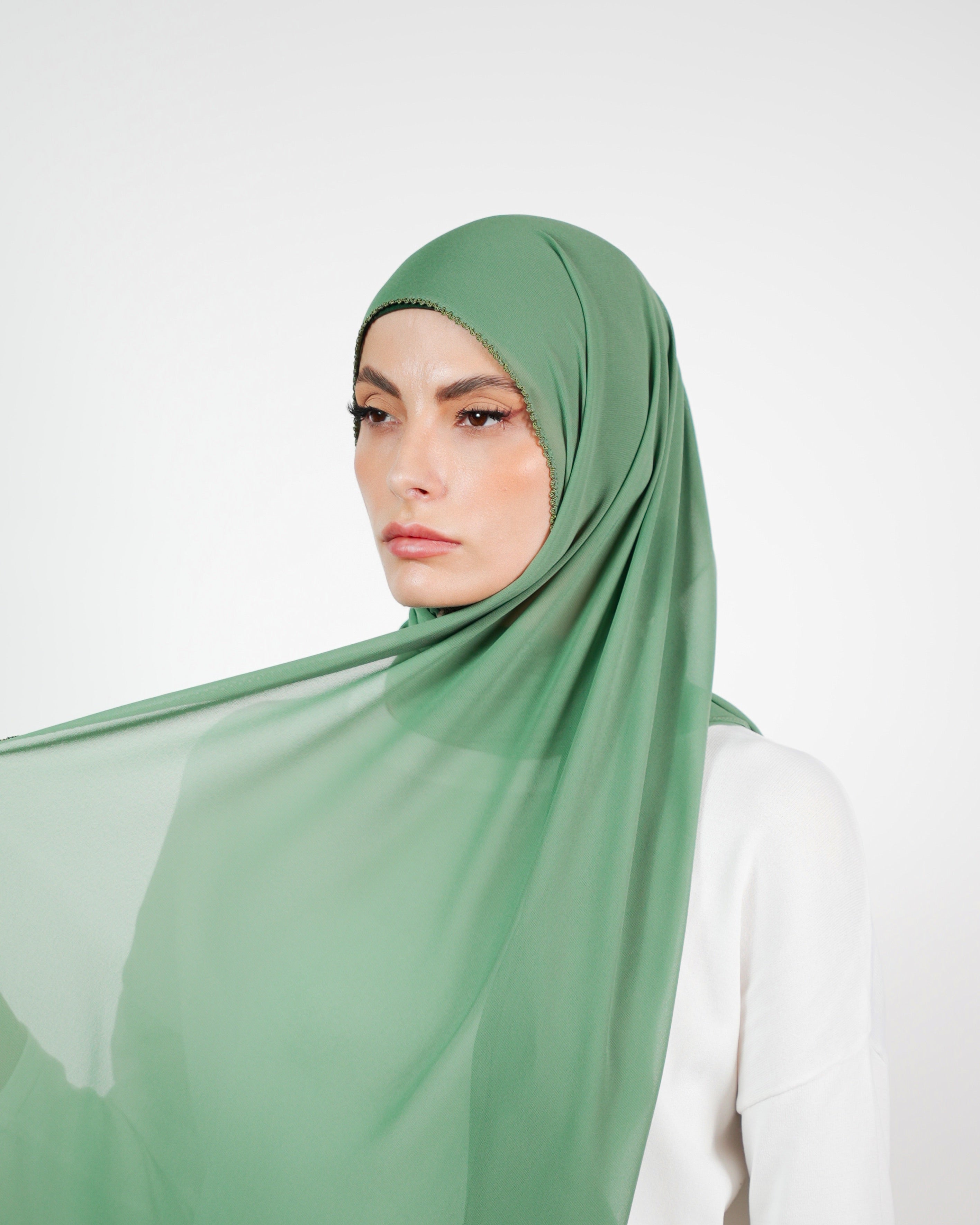 Basic Plain Chiffon Embroidery  Voile
