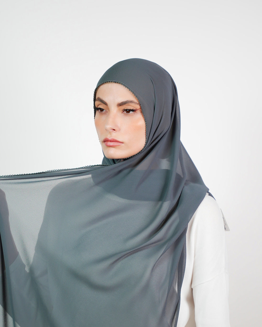 Basic Plain Chiffon Embroidery  Voile