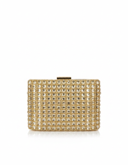Evening Clutch