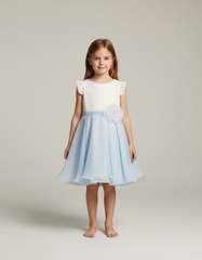 Dress  Miss Grant