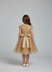 Girls Elegant Dress  Miss Grant