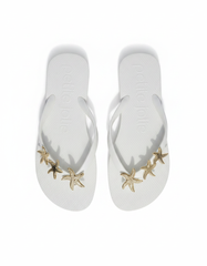 Slipper  UQ
